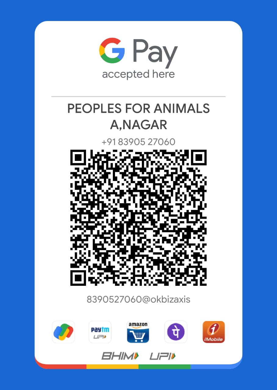 UPI QR Code for PFA Ahilyanagar
